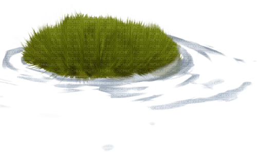 Кочка рисунок