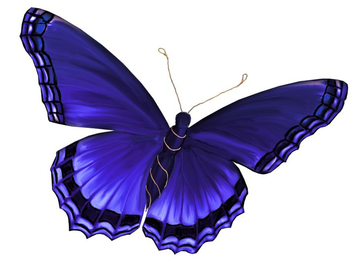 Красивые бабочки на прозрачном фоне