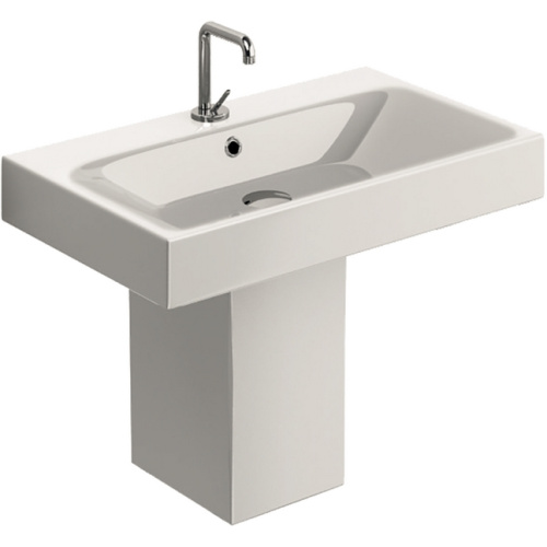 Раковинаэ на белом фоне