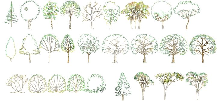 Стаффаж антураж деревья кусты