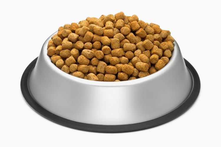 Миска с кормом для кошек