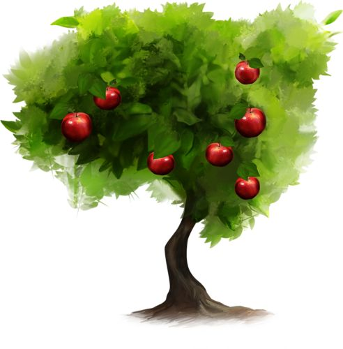 Дерево на прозрачном фоне