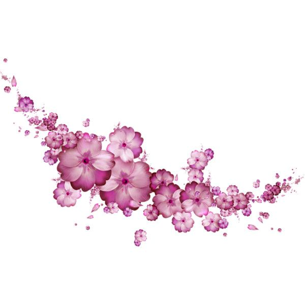 Цветы без фона