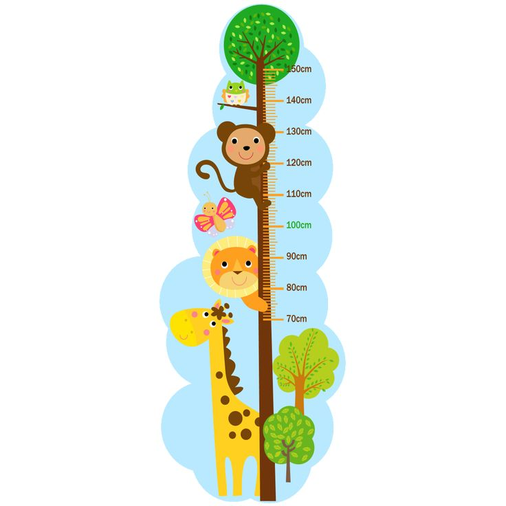 Измеритель роста для детей