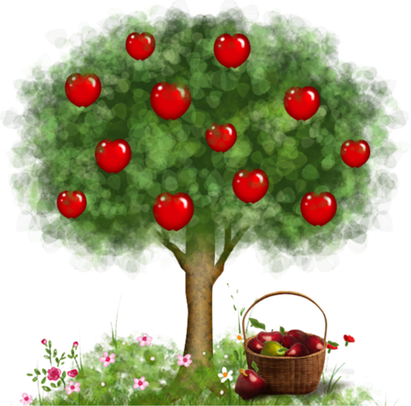 Яблоки на дереве