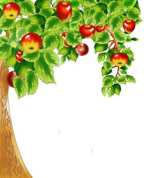 Яблоня на прозрачном фоне