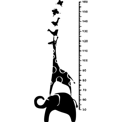 Линейка ростомер