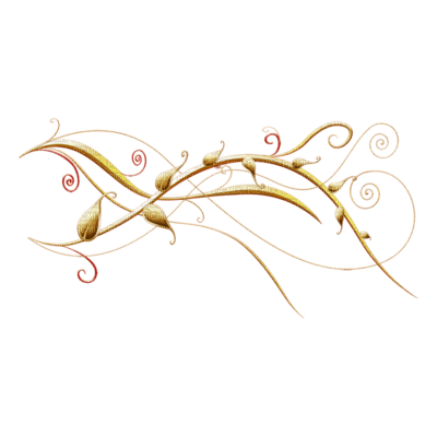 Орнамент на прозрачном фоне