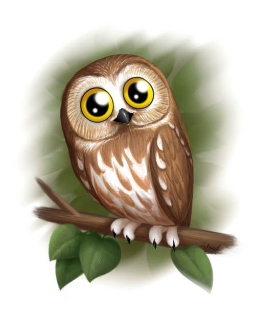 Совушка на прозрачном фоне