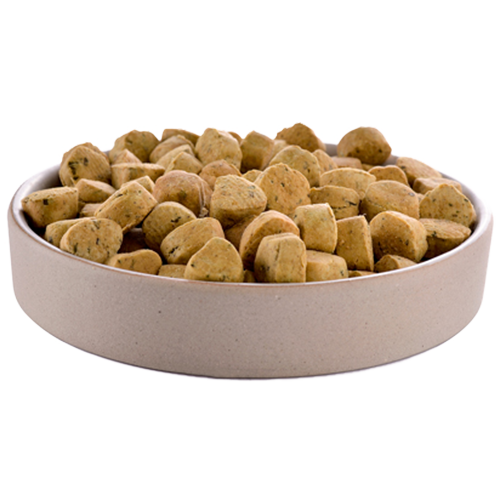 Миска с кормом для кошек