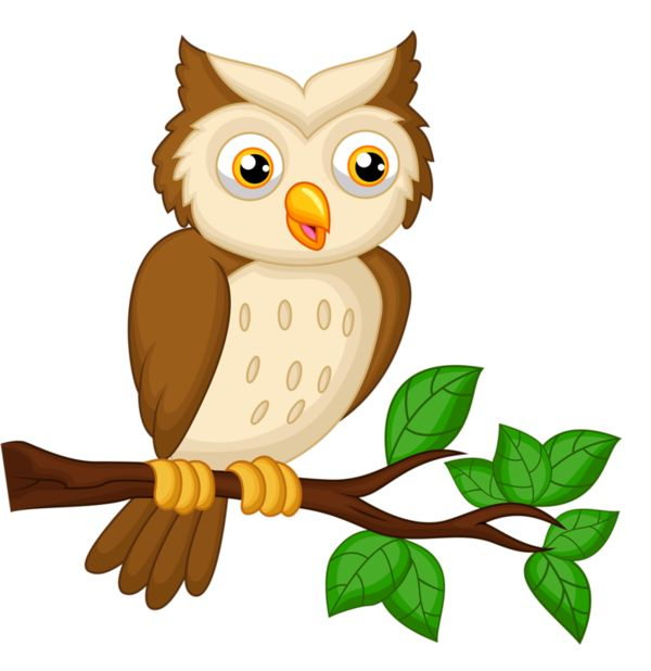 Совы мультяшные