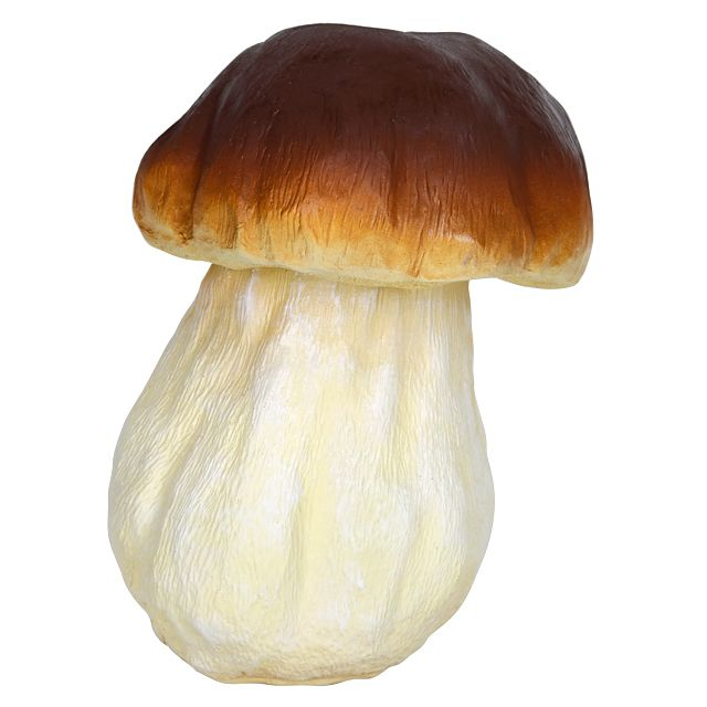 Боровик и белый гриб для детей