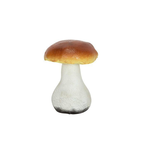 Гриб Боровик для детей