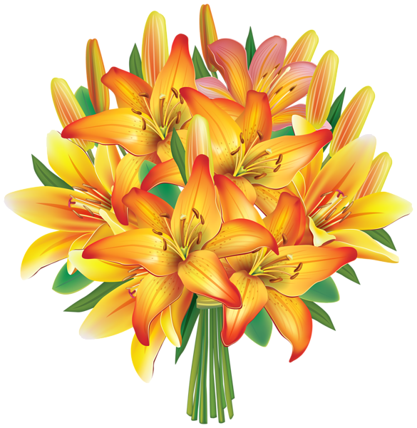 Лилия клипарт