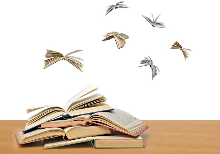 Книги как птицы