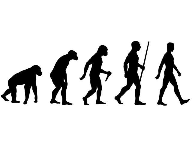 Эволюция без фона