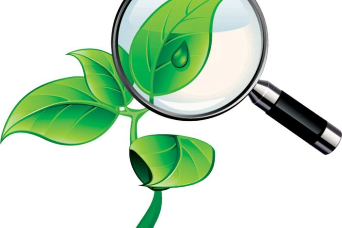 Эмблема экологии