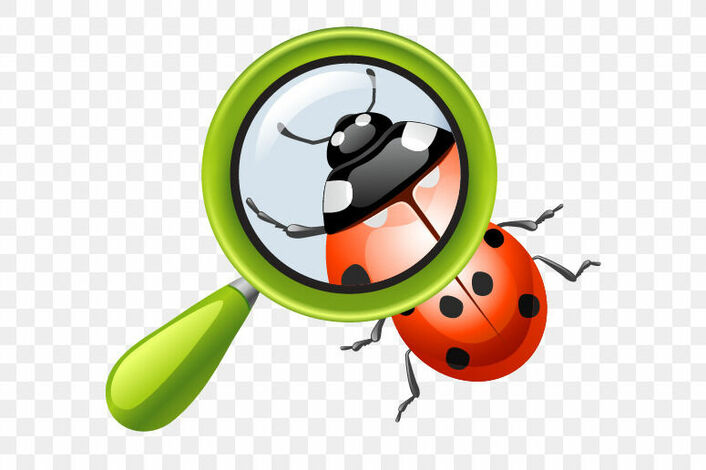 Насекомое под лупой