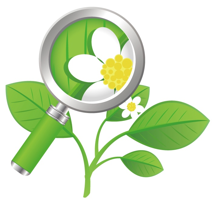 Биология клипарт