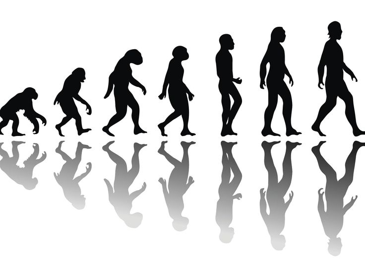 Эволюция вектор