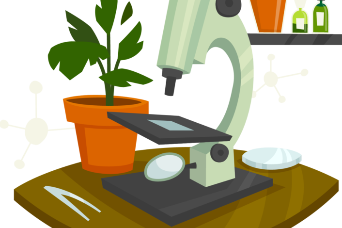 Рисунок на тему биология