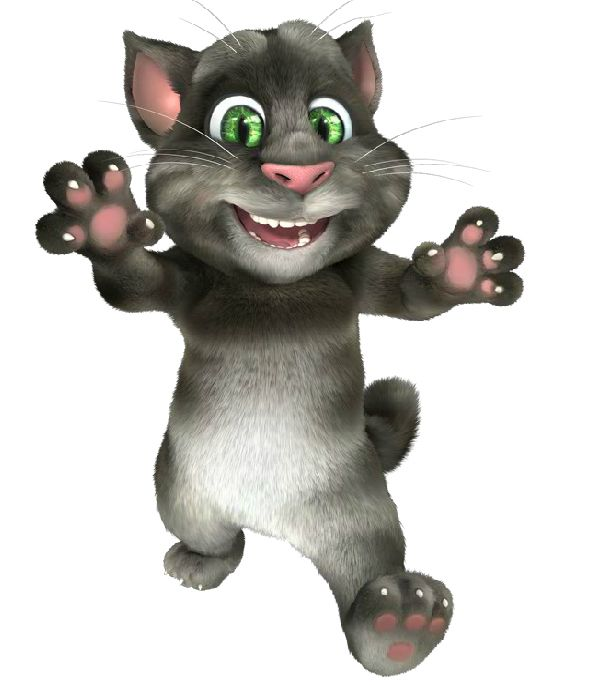 Talking Tom Cat