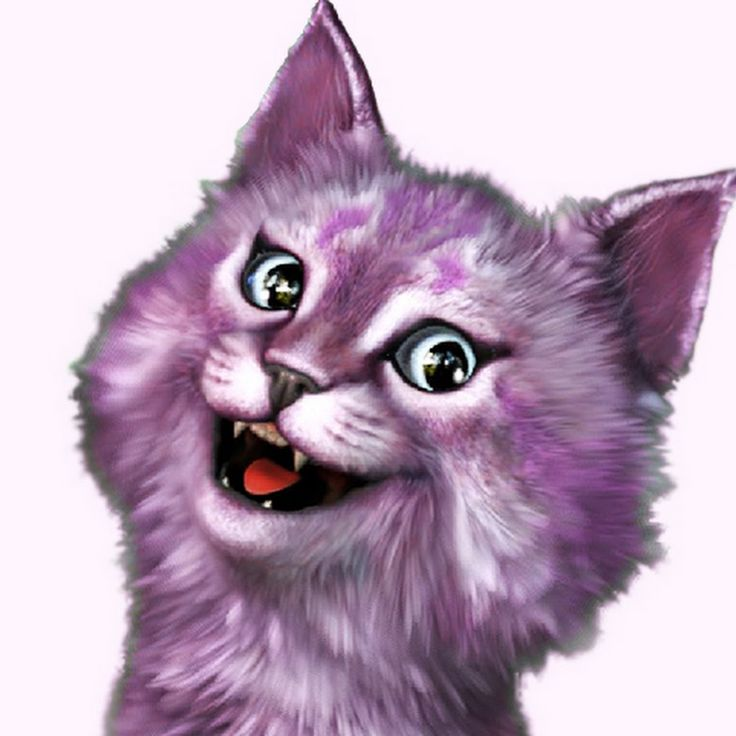 Кошка Лана и кот Лео