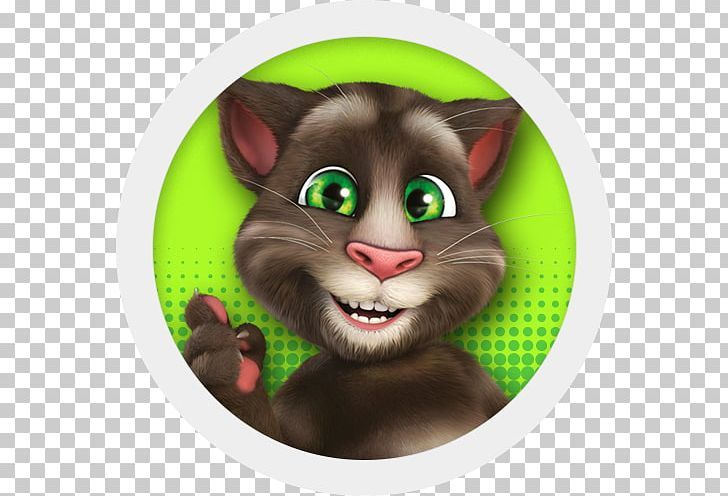 Кот том картинки