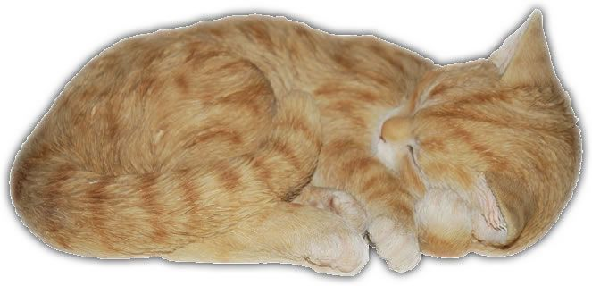 Лежачая кошка