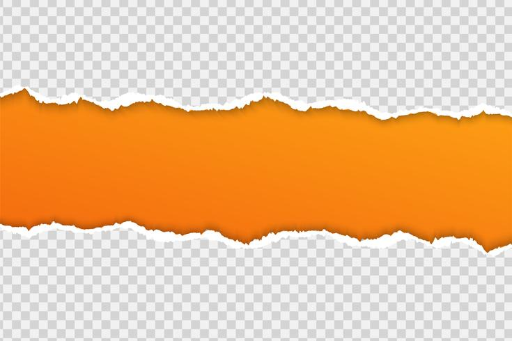 Обрывок бумаги на прозрачном фоне