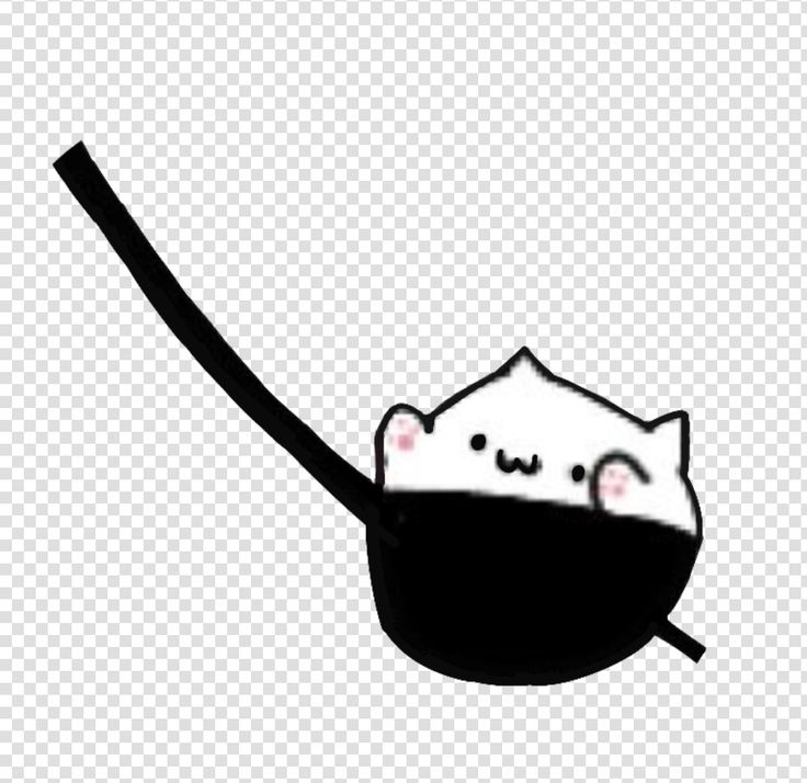 Bongo Cat in a Bag