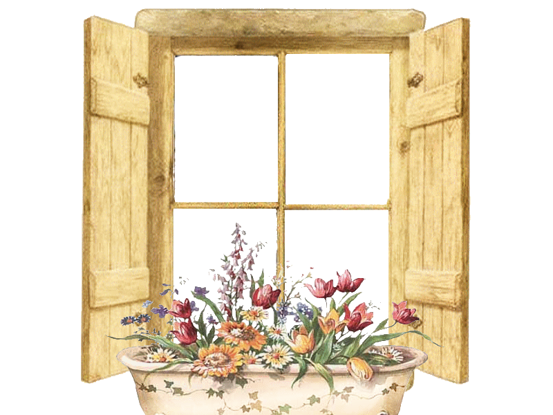 Окно со ставнями