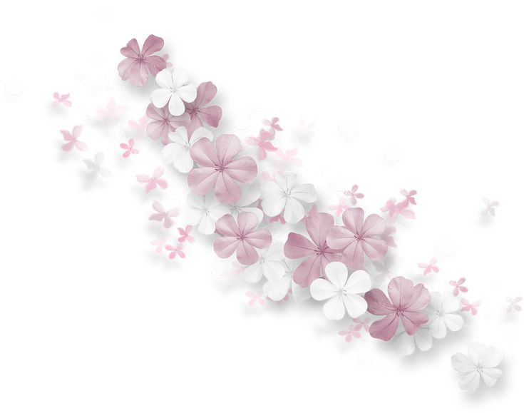 Цветочки на белом фоне