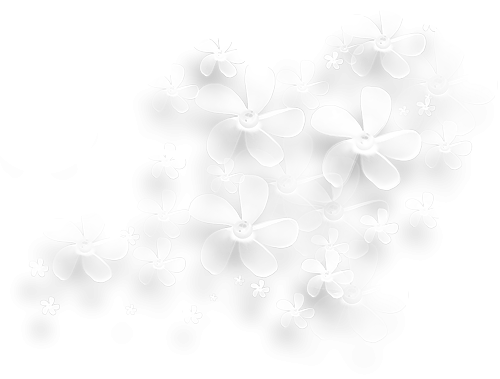 Нежные цветы на белом фоне