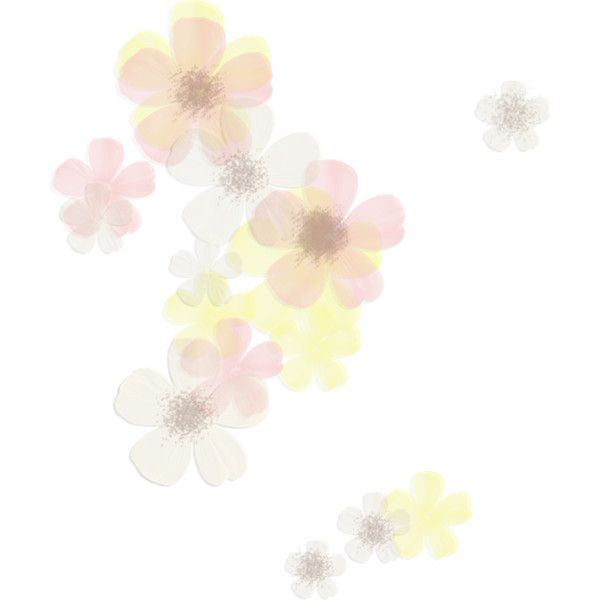 Цветы в пастельных тонах на прозрачном фоне