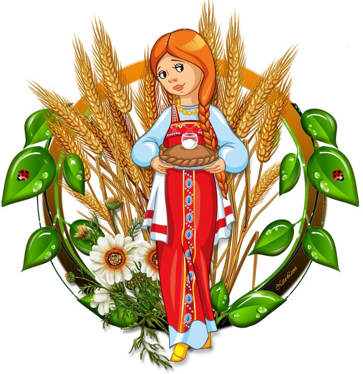 Девица красавица на белом фоне