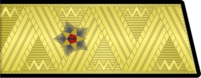 Погоны Генерала армии России