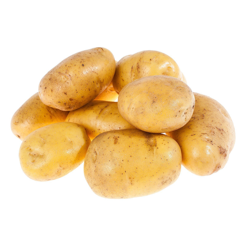 Картофель рассет Бербанк