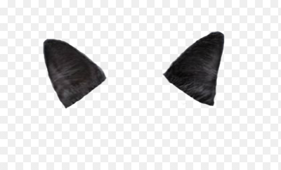 Кошачьи уши черные