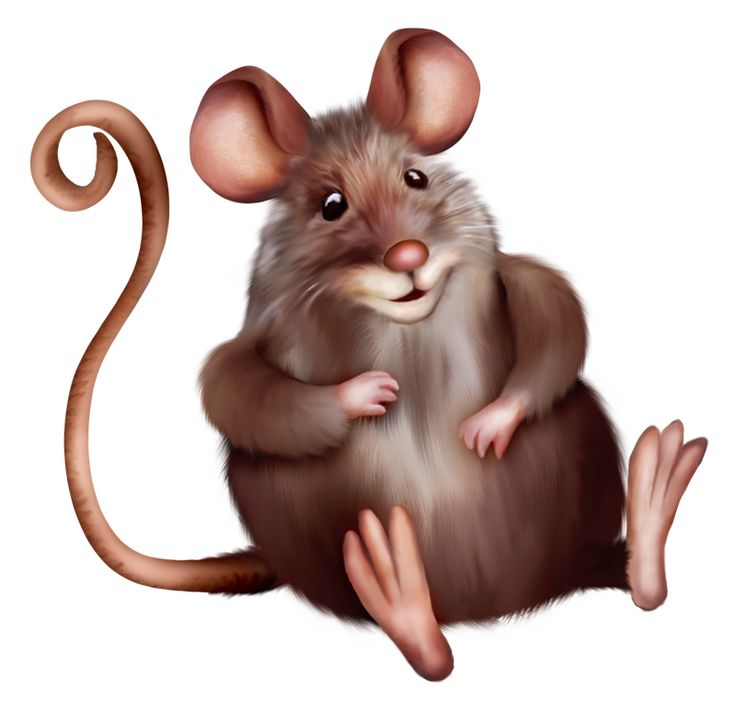 Мышь для детей