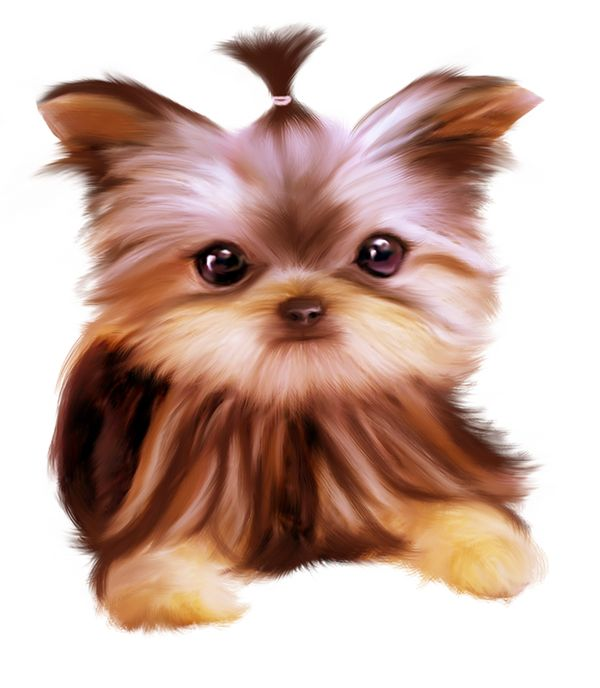 Йоркширский терьер со щенками