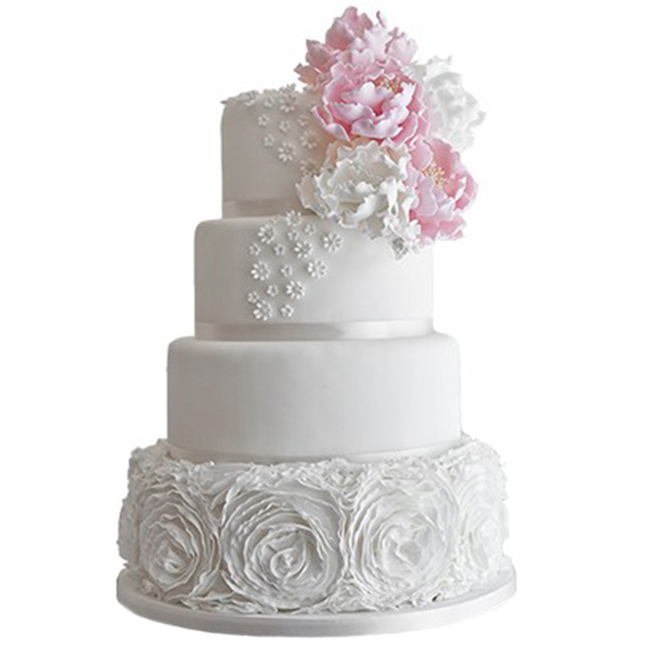 Красивый торт на белом фоне