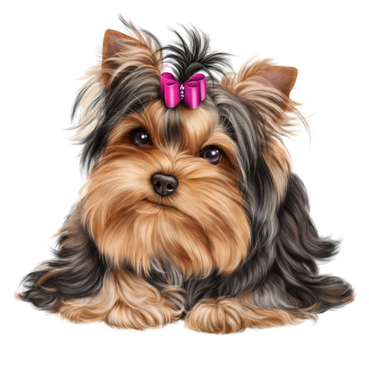 Йекштерьерский терьер