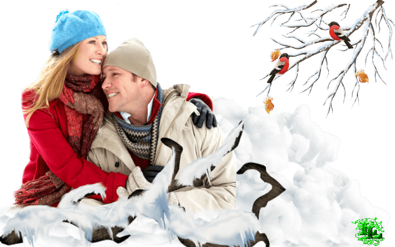 Влюбленные зимой