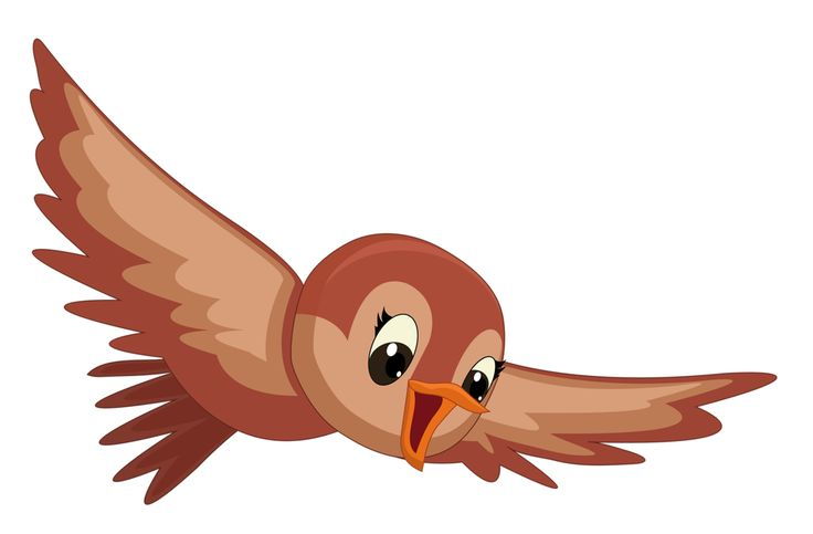 Птичка на прозрачном фоне