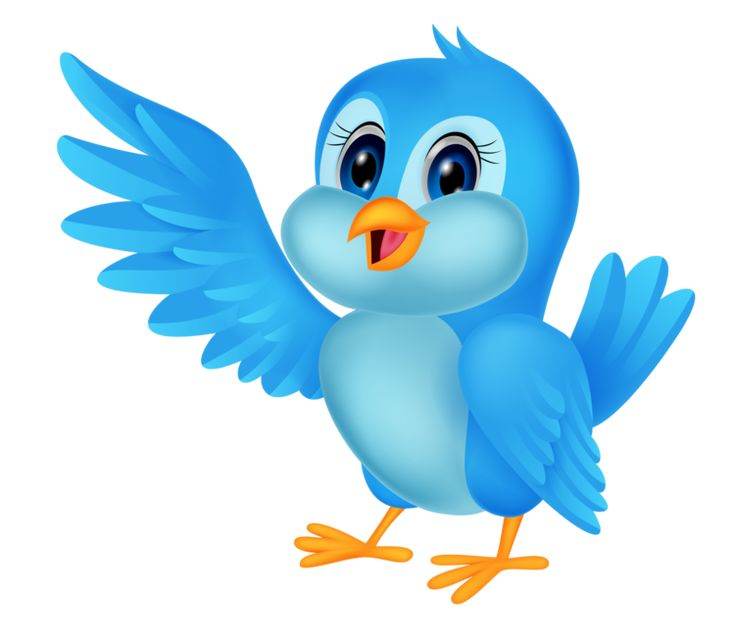 Птичка рисунок