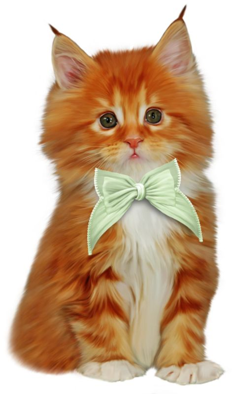 Рыжая кошка