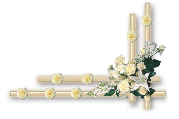 Цветочные бордюры на прозрачном фоне