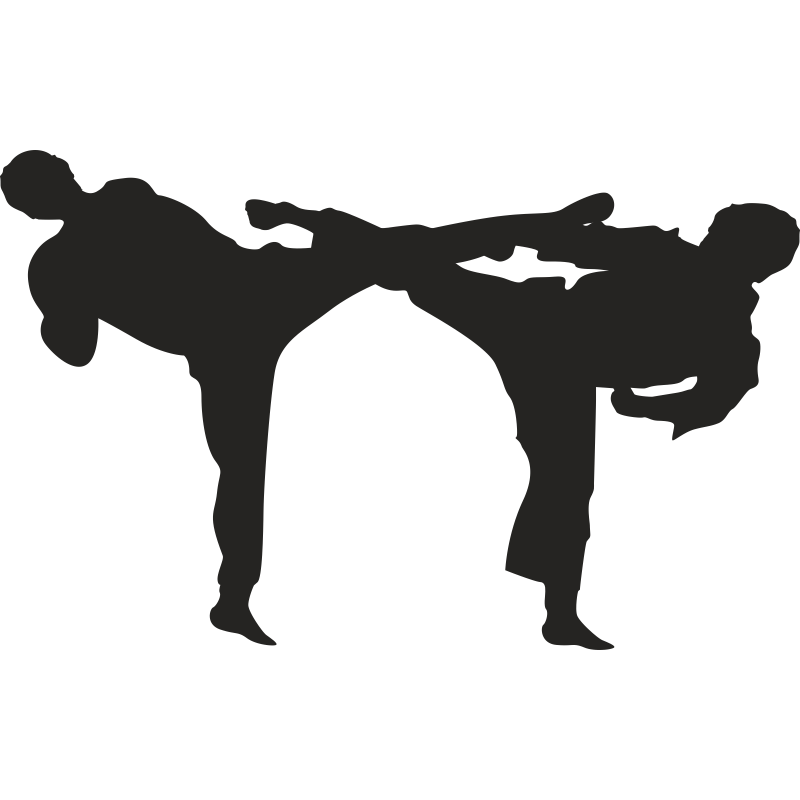 Единоборства силуэт