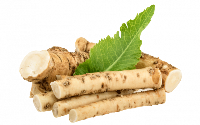 Хрен на прозрачном фоне